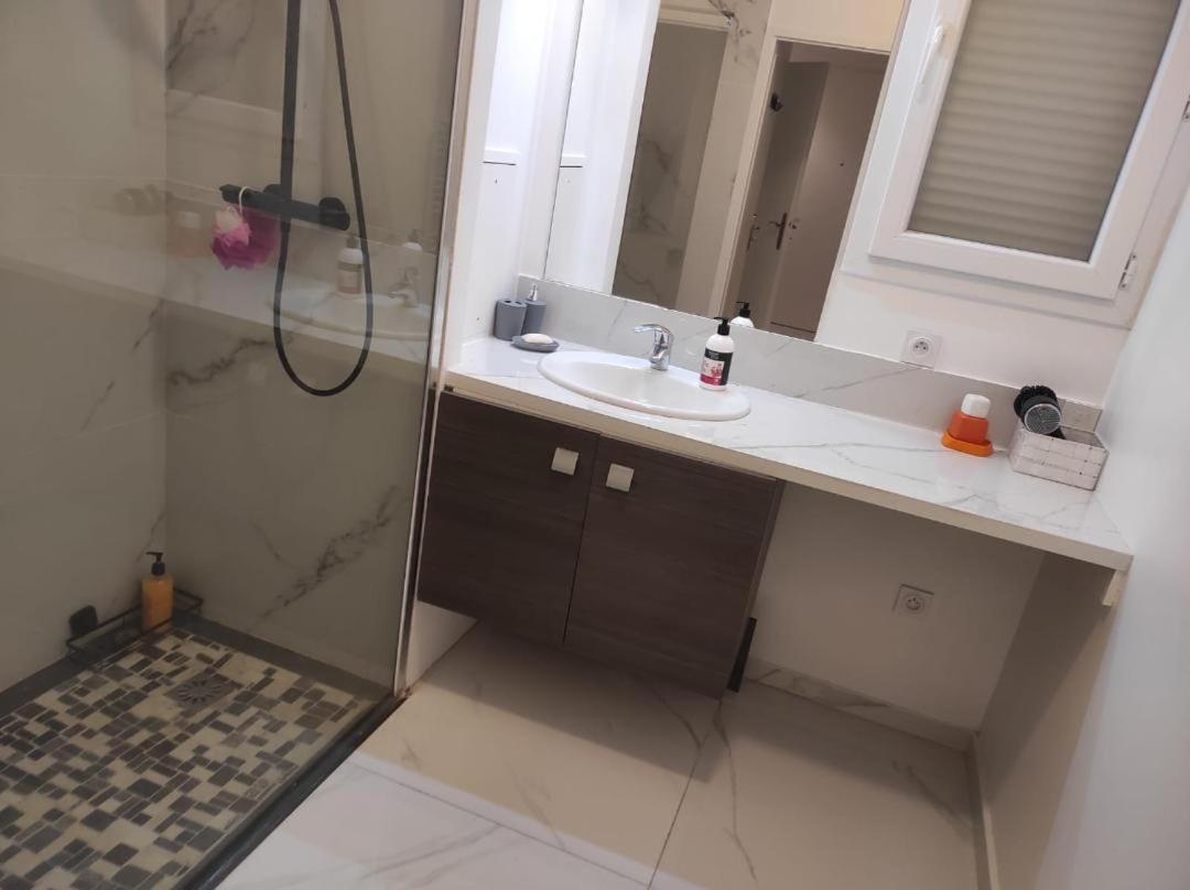 Tres Bel Appartement Avec Grand Jardin, Proche De Paris Vitry-sur-Seine Luaran gambar